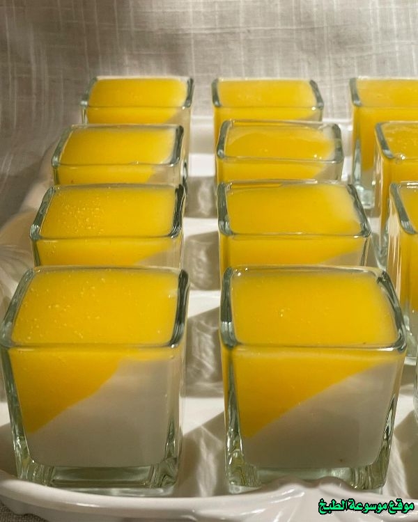 http://photos.encyclopediacooking.com/image/recipes_pictures-arabic-orange-and-milk-dessert-mahalabia-recipe6.jpg