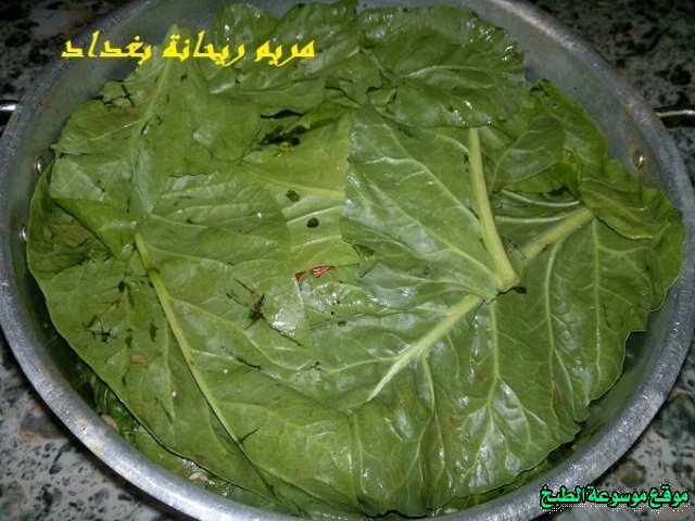 http://photos.encyclopediacooking.com/image/recipes_pictures-iraqi-dolma-ingredients12.jpg