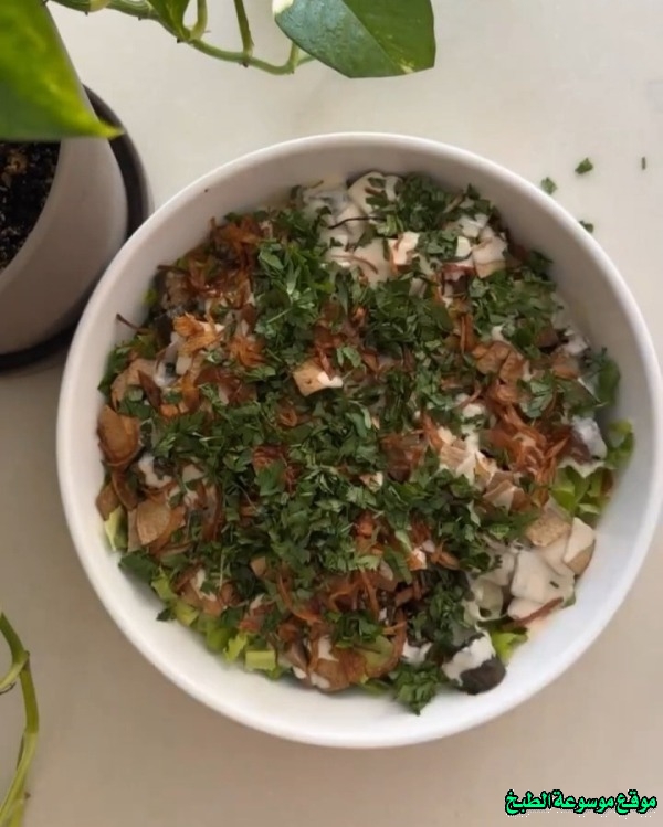http://photos.encyclopediacooking.com/image/recipes_pictures-vine-leaves-fatteh-recipe7.jpg