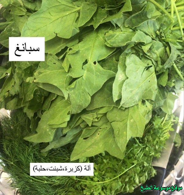 http://photos.encyclopediacooking.com/image/recipes_picturesspinach-broth-soup-recipe-traditional-food-in-iraq1.jpg